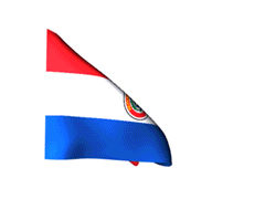 Paraguay Bandera flameando de Paraguay