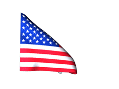Estados Unidos Bandera flameando de Estados Unidos